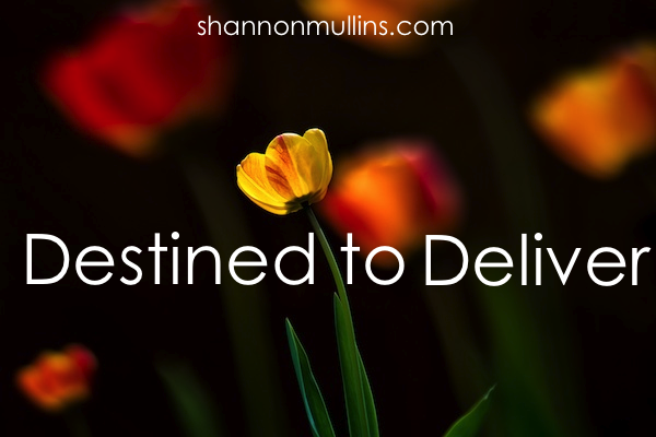 Destined To Deliver Shannon Mullins Ministries