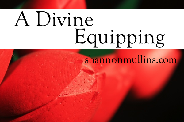 A Divine Equipping Shannon Mullins Ministries